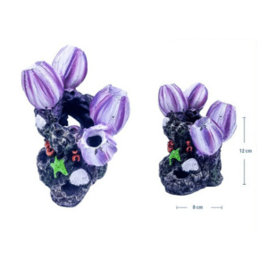 ACCESORIO